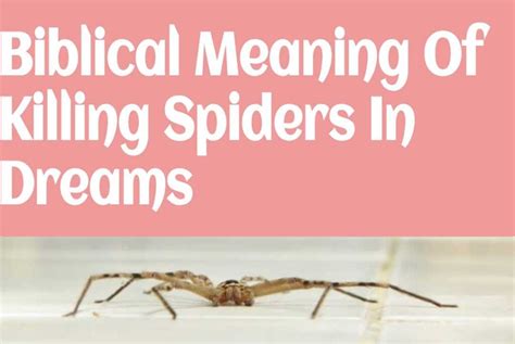 Biblical Meaning Of Killing Spiders In Dreams DreamPeas