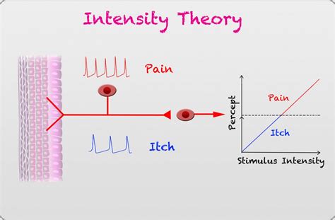 Intensity Theory | Ross Lab