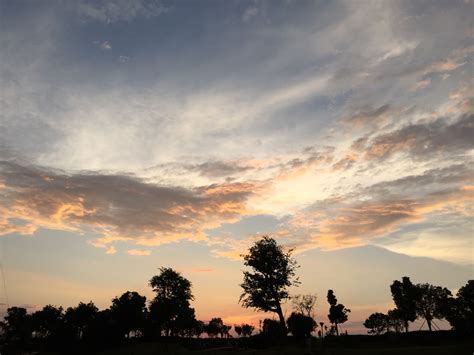 Fotos Gratis Rbol Horizonte Nube Cielo Amanecer Puesta De Sol