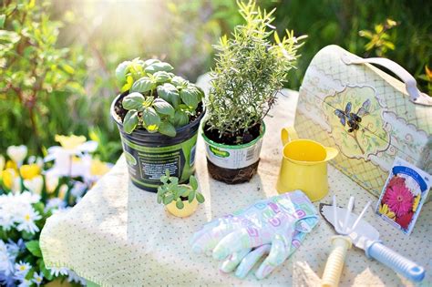 Best summer garden ideas for 2021 | My Greenery Life