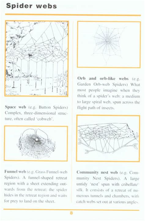 First Field Guide To Spiders Scorpions Of Southern Africa Nhbs