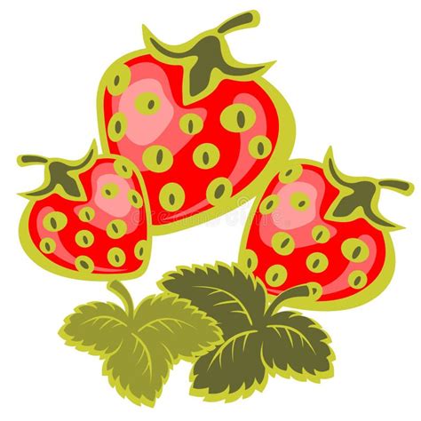 Strawberries Vector Illustration Stock Vector Illustration Of Food