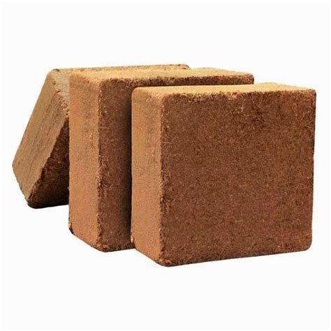 Square Cocopeat Blocks Packaging Type Bag Packaging Size Kg At