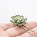 Pcs Green Succulent Hair Pins Hairpin Bobby Pins Hair Buy Etsy