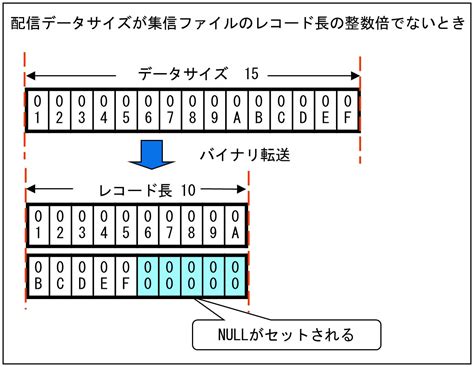 【公式】バイナリ転送について