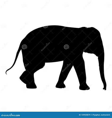 Schwarzer Elefant Silhouette Asien Walking Grafik Disign Vektorlinie