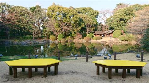 お花見の穴場。東京国立博物館「博物館でお花見を」は桜も展示も楽しめる贅沢イベント ｜ 和樂web 美の国ニッポンをもっと知る！