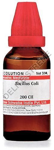 Dr Willmar Schwabe India Bacillus Coli Dilution Ch At Best Price In