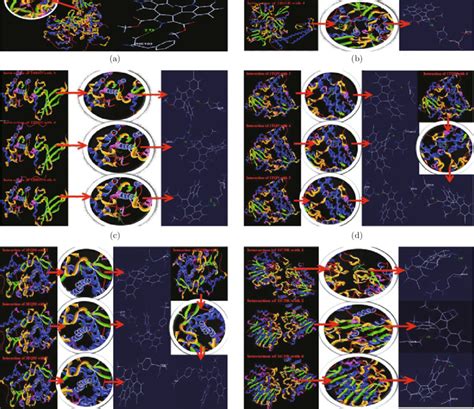 In Silico Interaction Of 1 6 At Different Schematic Representation And