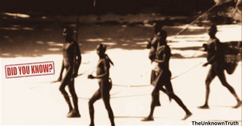 The Sentinelese Tribe: Inhabitants of North Sentinel Island