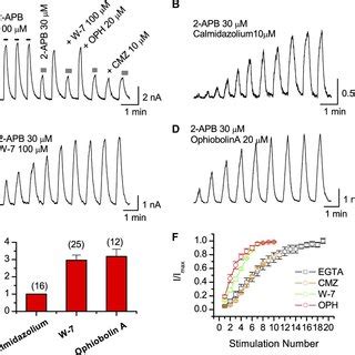 Pharmacophore Of BAPTA A Structures Of The Synthetic Peptides