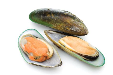 GREEN MUSSELS – MPS GROCERIES