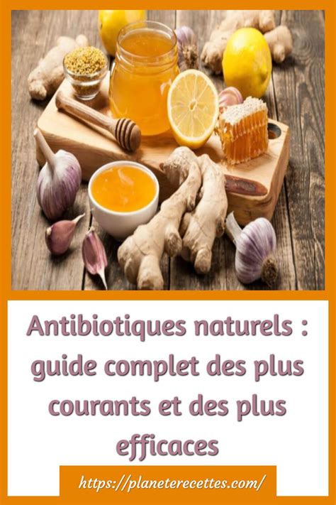 Antibiotiques Naturels Plus Courants Et Efficaces Planète Recettes