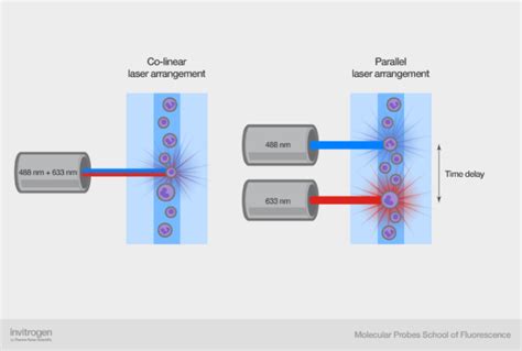 Optics Of A Flow Cytometer Thermo Fisher Scientific Us