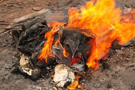 Burning Trash stock photo. Image of smoke, waste, disposal - 2016482