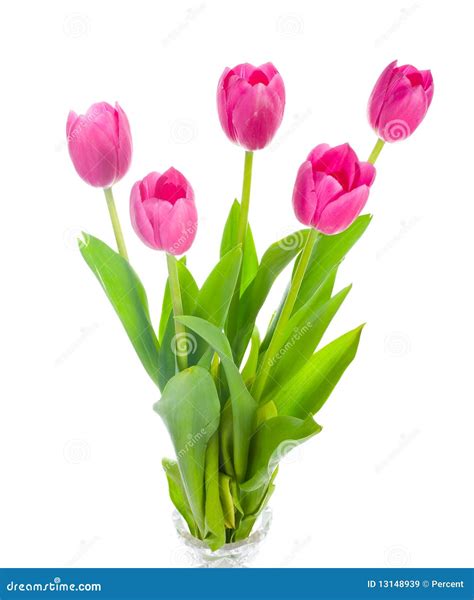 Five Pink Tulips Bouquet Stock Image Image Of Spring 13148939