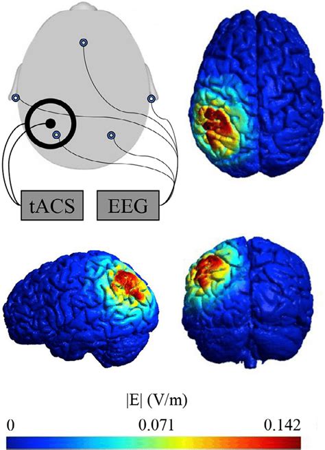 EEG And TACS Electrode Montages And TACS Current Simulation Results A