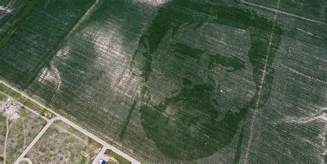 Espectaculares imágenes de Messi dibujado en un campo de Córdoba El