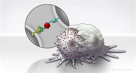 Nanotechnology Platform Enables Immune Conversion Of Cancer Cells