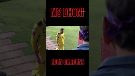 Ms Dhoni In Eden Gardens Shorts Youtube