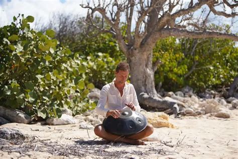 Handpan D Butant Le Guide Ultime Des Meilleurs Mod Les Choisir