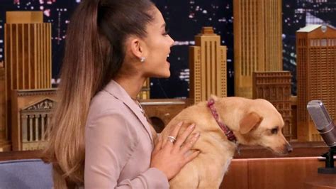 Ariana Grande Pourquoi La Star A Appelé Son Chien Toulouse