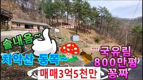 영월전원주택매매 영월농가주택매매 강원도 영월군 무릉도원면 두산리 치악산동쪽 800만국유림에 둘러쌓인 청정지역 Youtube