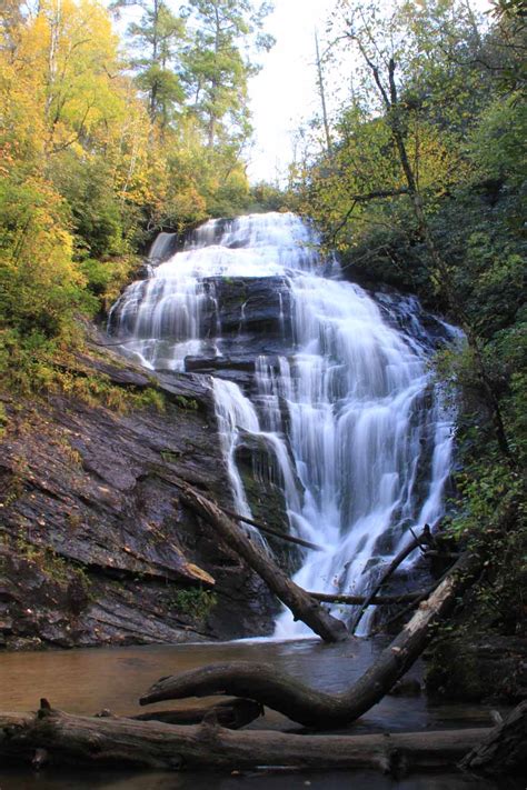 Sumter National Forest - Alchetron, The Free Social Encyclopedia