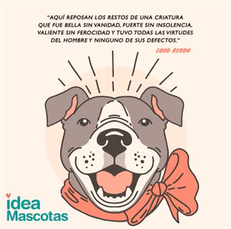 Total Imagen Frases De Despedida A Un Perro Fallecido Abzlocal Mx