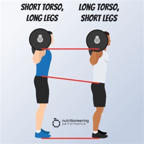 High Bar Vs Low Bar Squat Why Bar Position Matters