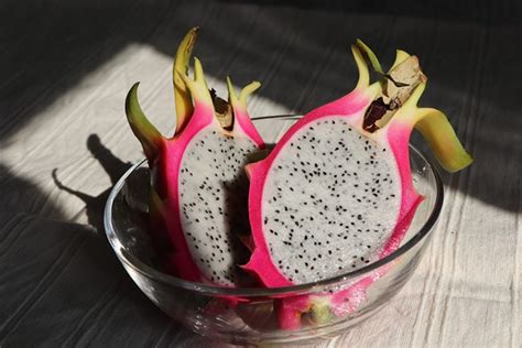 How To Grow Dragon Fruit Indoors 10 Tips Tricks And Guide House Grail