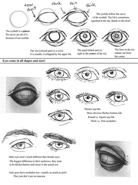 Drawing Eyes Worksheet By Ccrask On Deviantart Eye Drawing Drawing