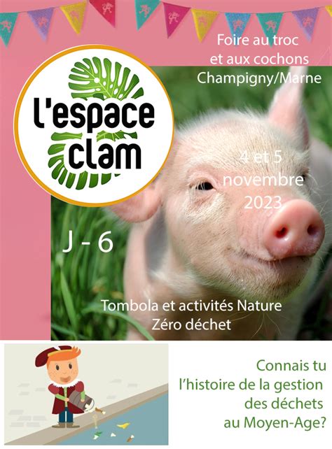 Rendez vous solidaire à la Foire au Troc et aux Cochons Mois de l ESS