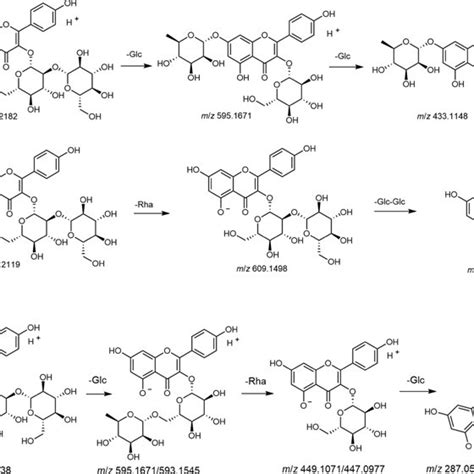 Mass Spectra And Cleavage Of A Kaempferol 3 O Sophoroside And B