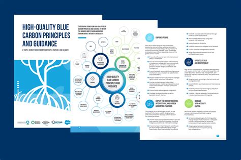 High Quality Blue Carbon Principles