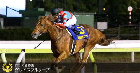 ダートグレード競走：東京スプリント（jpniii）2019おトク情報楽天競馬