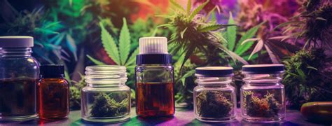 Diferencias Entre Thc Y Cbd Lab Kan