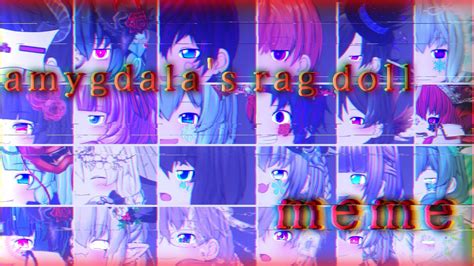 Pv Amygdala S Rag Doll Youtube