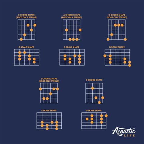 The CAGED System: A Beginner’s Guide to Fretboard Mastery - Acoustic Life