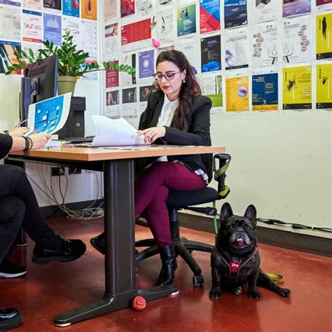 Al lavoro all università col cane o col gatto svolta della Bicocca