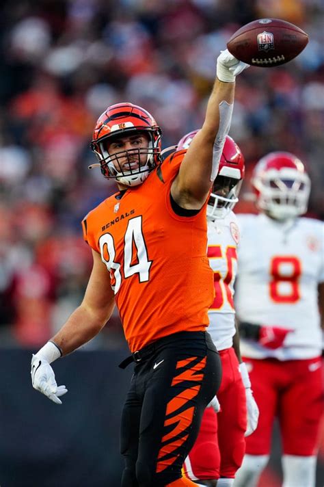 Cincinnati Bengals Xtra Mitchell Wilcox Takes Over As Starting Te