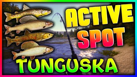 Russian Fishing 4 VERY ACTIVE SPINNING SPOT ON TUNGUSKA RIVER