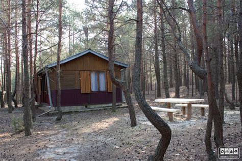 Domki Nad Zalewem Kemping Sopot Roztocze Opinie Kontakt Dojazd