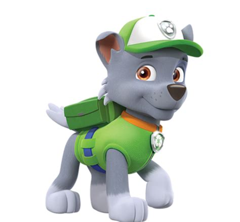 Rocky Paw Patrol Wiki Fandom Powered By Wikia