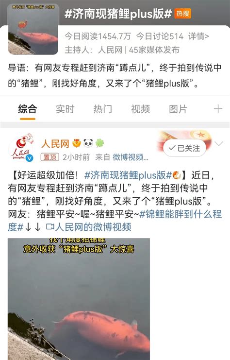 胖上热搜！网友济南“蹲点”拍到“猪鲤plus版”网友：游泳不减肥啊来源雪糕石洪