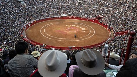 Justicia suspende nuevamente corridas de toros en Ciudad de México eju tv