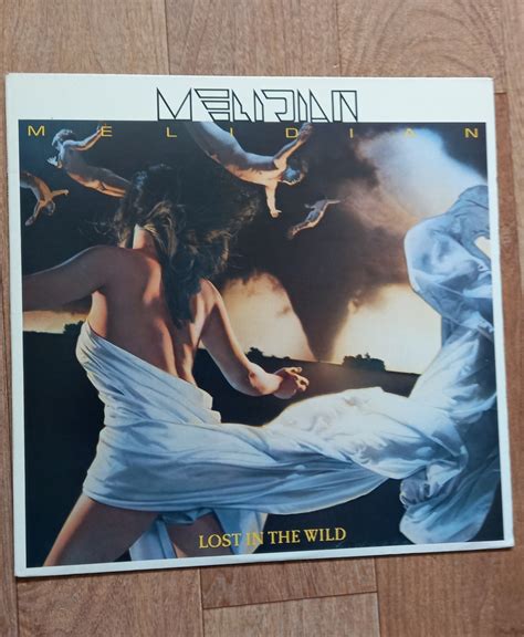 Melidian Lost In The Wild Vinyl Photo Metal Kingdom