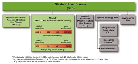 Arndt Vogel On Twitter Nafld No More Steatotic Liver Disease Sld