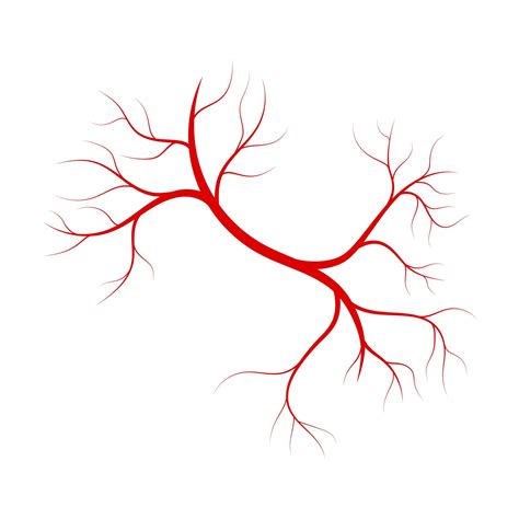 Red veins vector design illustration isolated on white background ...