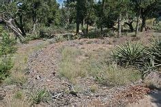 landscaping berms for flood prevention